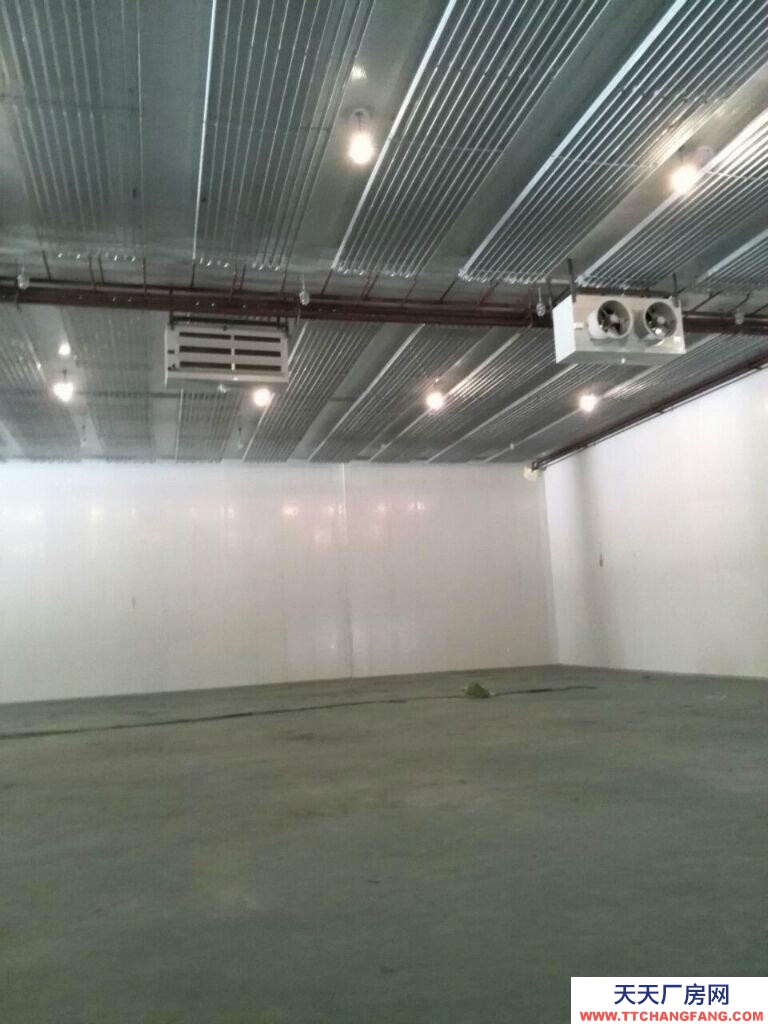 威海環(huán)翠出租冷庫，可放100噸貨