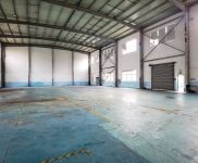 (出售) 奉賢金匯鎮獨棟廠房出售，單層11米，50年產權