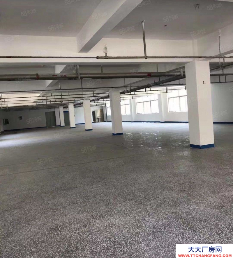 溫州瑞安(出售) 房東誠心出售瑞安陶山6畝建筑證4000平方獨門獨院廠房形象好