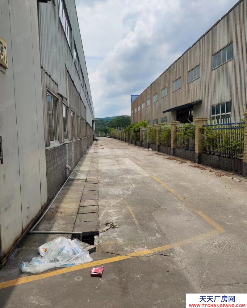 (出租)柳州 柳南河西靚麗8000平標準廠房免中介費出租