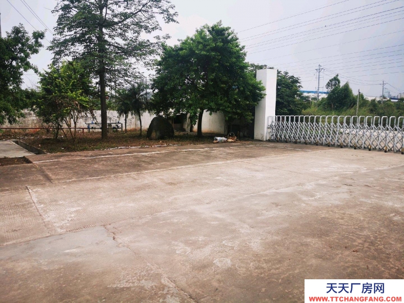 (出租) 廣州肇慶廠房空地多，具體詳情請面議。
