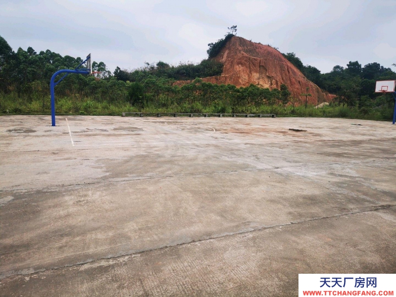 (出租) 廣州肇慶廠房空地多，具體詳情請面議。