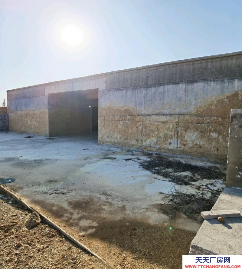 (出租) 城區(qū)北環(huán)路菜市場周邊交通方便