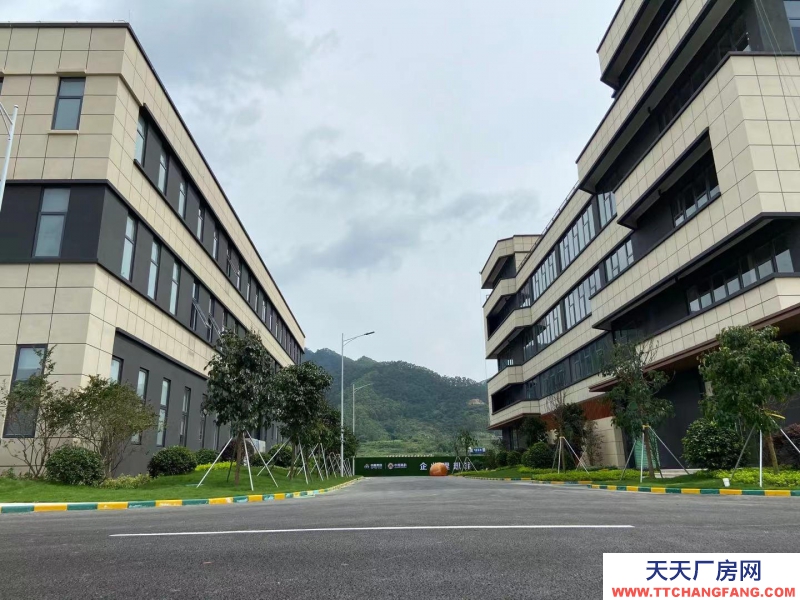 (出售) 廣州肇慶標準廠房(現房),五十年產權,三成首期。