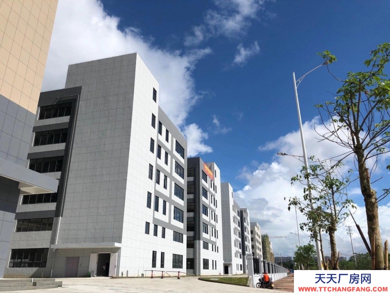 (出售) 廣州肇慶四會現房！1千方起售，環評，消防包辦，產權50年！