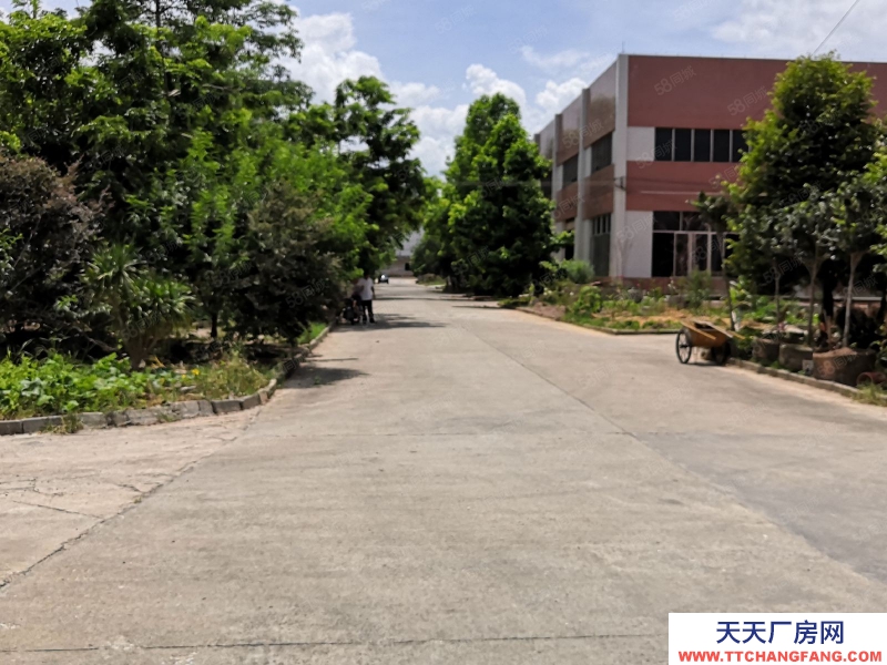 (出售) 廣州肇慶德慶廠房帶租約出售，價(jià)格美麗