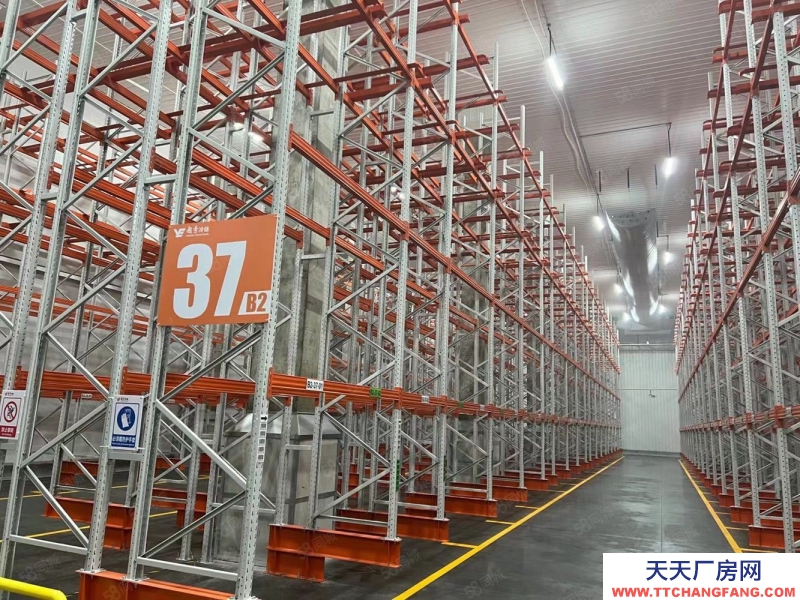 (出租) 廣州肇慶四會大旺100000平方丙二類高臺倉出租