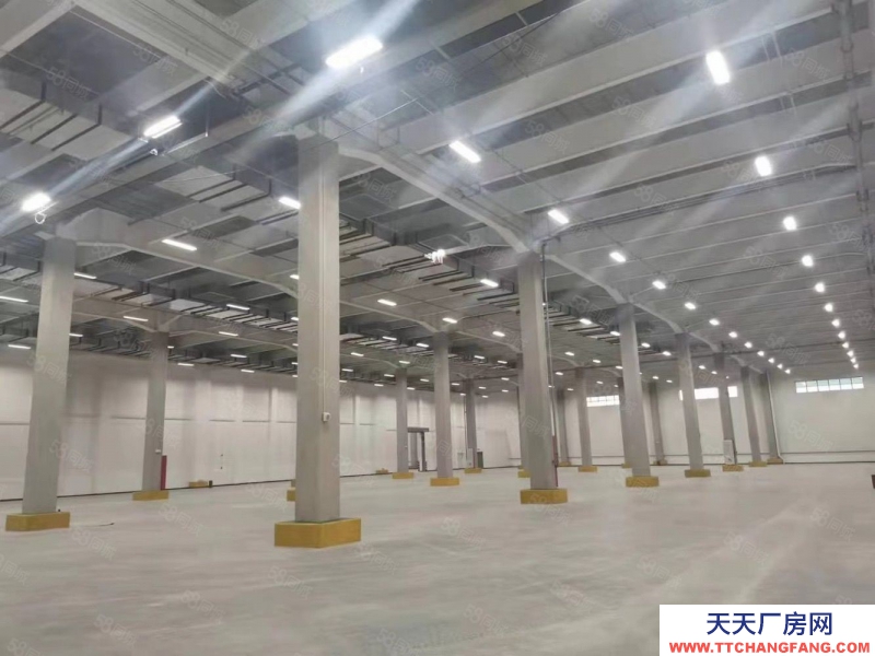 (出租) 廣州肇慶四會大旺100000平方丙二類高臺倉出租