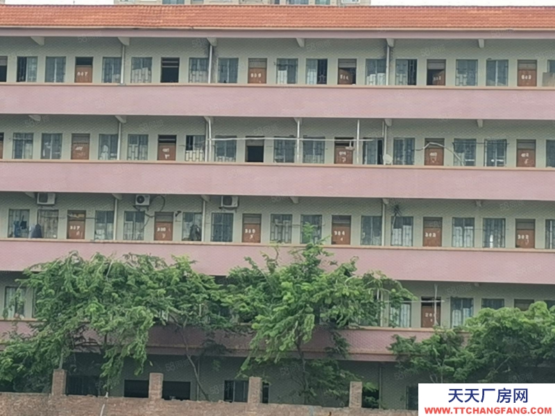 (出租) 廣州肇慶四會南江工業園標準物流園倉庫出租