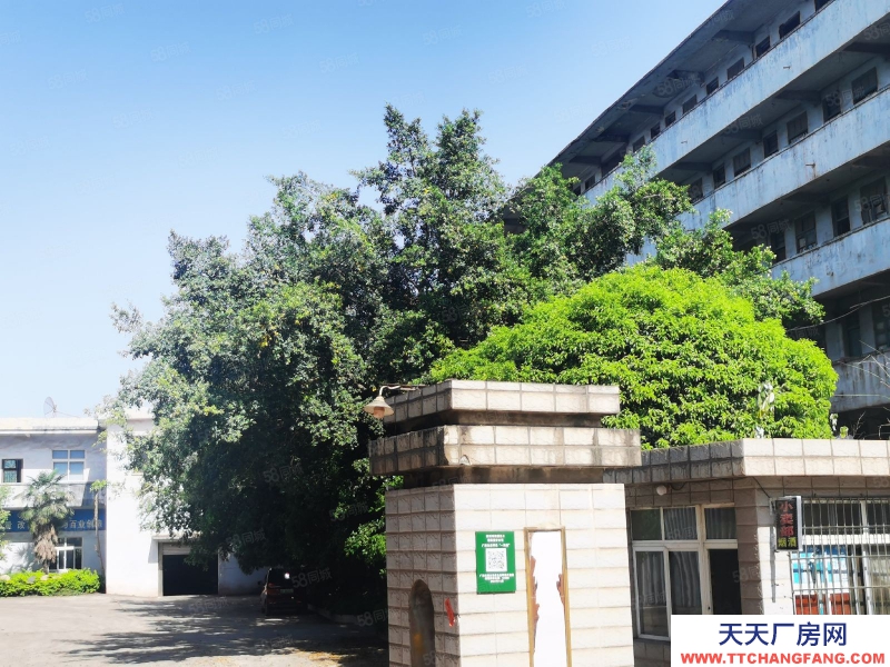 (出租) 柳州柳北區洛維工業區1900平2500平2100平1500平招租。