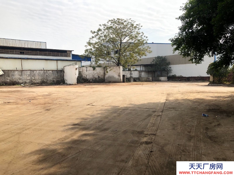 (出租)柳州柳北區 白露倉庫廠房出租，有行吊，可通掛車，可分租，租金可談