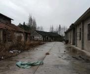 (出售) 崇明區新河鎮新隆村廠房