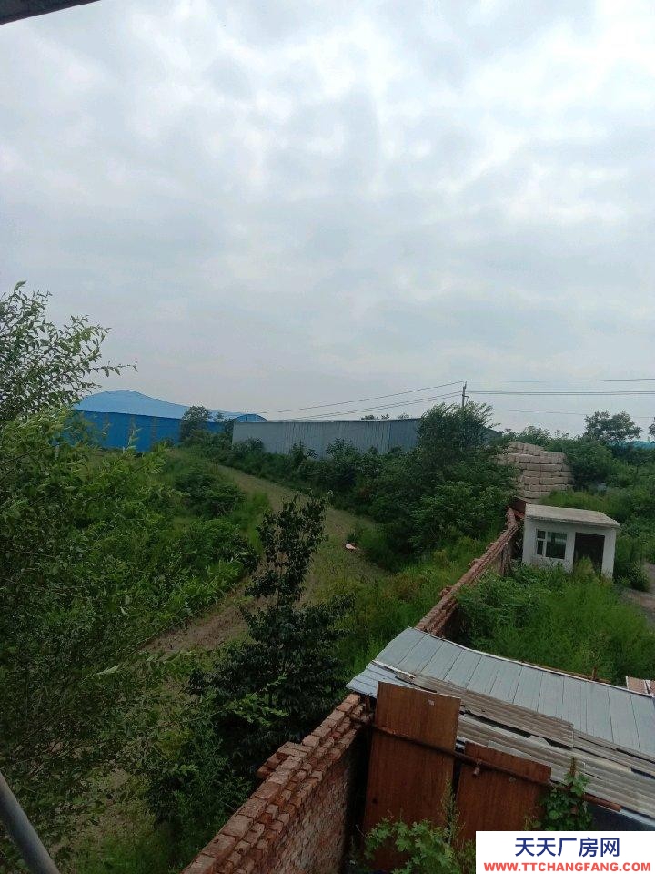 (出租) 吳王山洗煤廠附近。。。。