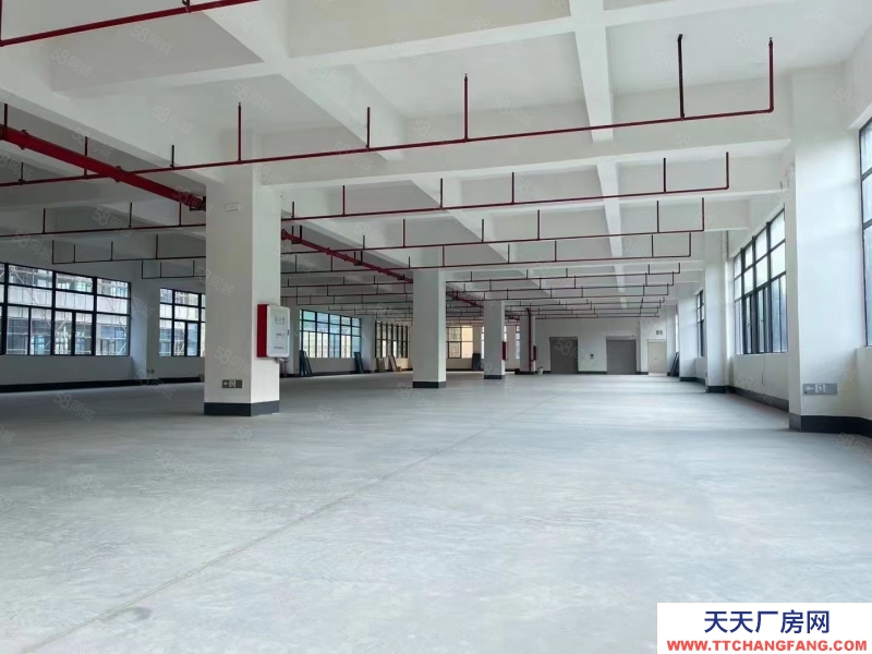 (出租) 清遠清城區石角帶印刷環評高標廠房出租