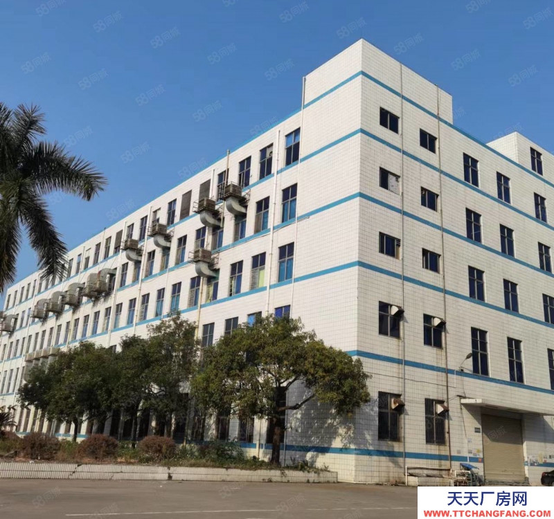 (出租) 清遠毅力工業園定制廠房4萬方招租，可分割，可按需定制，歡迎來電