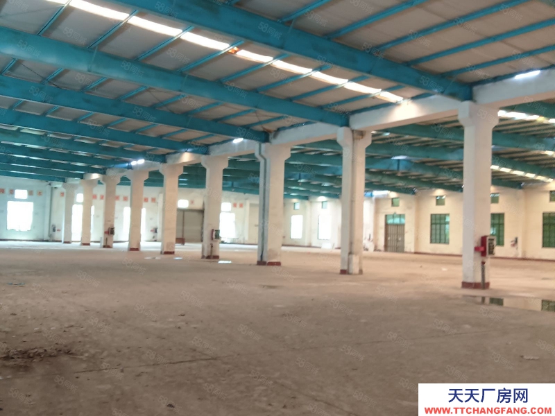 (出租) 清遠(yuǎn)清新市中心，大路邊，單層廠房，磚混結(jié)構(gòu)，方正實(shí)用