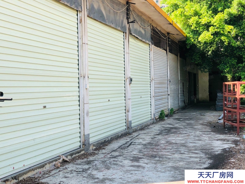 (出租) 清遠市區，獨門獨院，單層廠房，4500方僅2.5萬