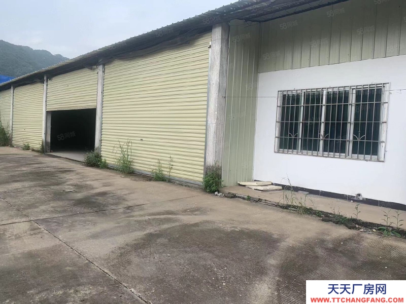 (出租) 清遠英德市獨院廠房倉庫出租滴水4.2可進大部分行業(yè)