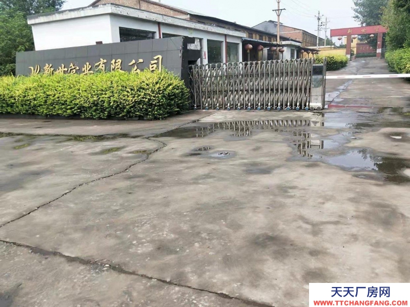 邯鄲 復(fù)興  1個(gè)獨(dú)立廠房300平