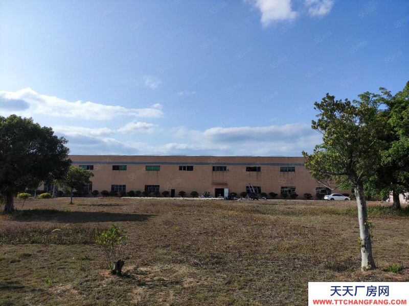 (出租) 清遠(yuǎn)佛岡形象好40000方磚墻10米,可做污染企業(yè)分租