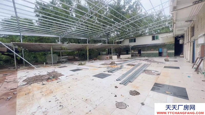 (出租) 清遠佛岡縣城 小型廠房出租 1樓800方 2樓1200方 三廂電