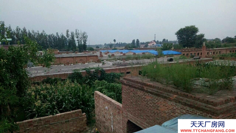 (出租) 張慶鄉演武村 倉庫 2000平米