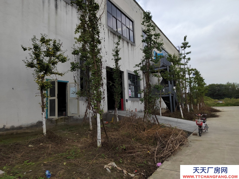 成都周邊標(biāo)準(zhǔn)廠房出租32000平米(可分租)