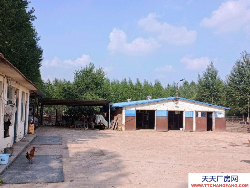 (出租) 養殖場在榆社縣和平村。養殖業優選，方便養殖牛羊