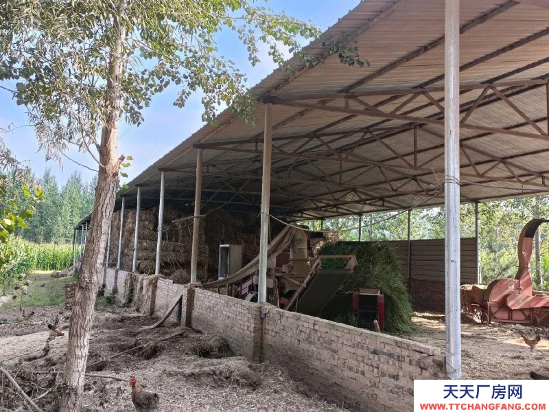 (出租) 養殖場在榆社縣和平村。養殖業優選，方便養殖牛羊