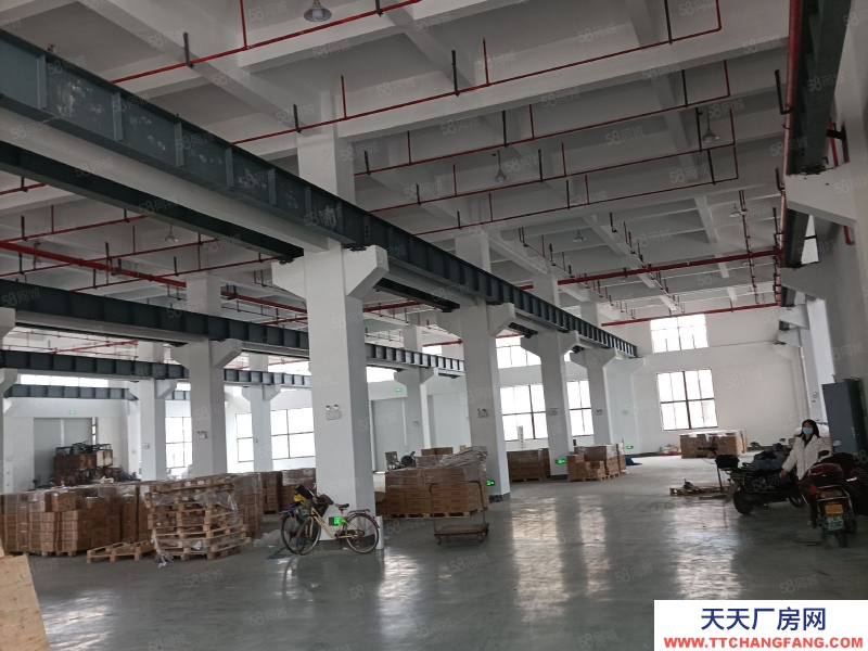 嘉興秀洲(出租) 王店工業園1300平層高7米帶行車價格23元每平大車進出方便