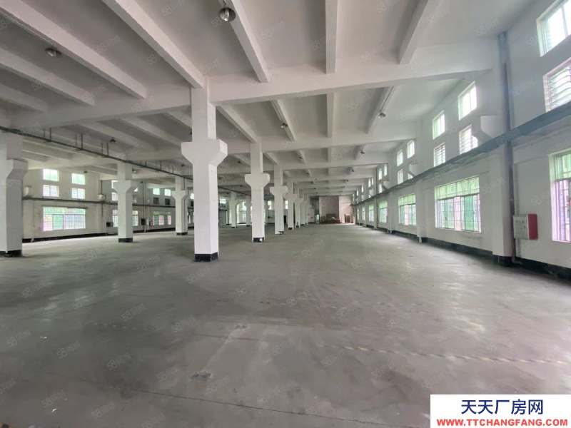 (出租) 清遠佛岡縣城 獨院廠房 共2700方 帶有鐵硼空間 包含稅票出租