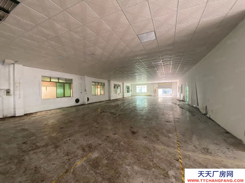 (出租) 清遠佛岡縣城 獨院廠房 共4300方 可分租 帶有辦公樓 飯堂