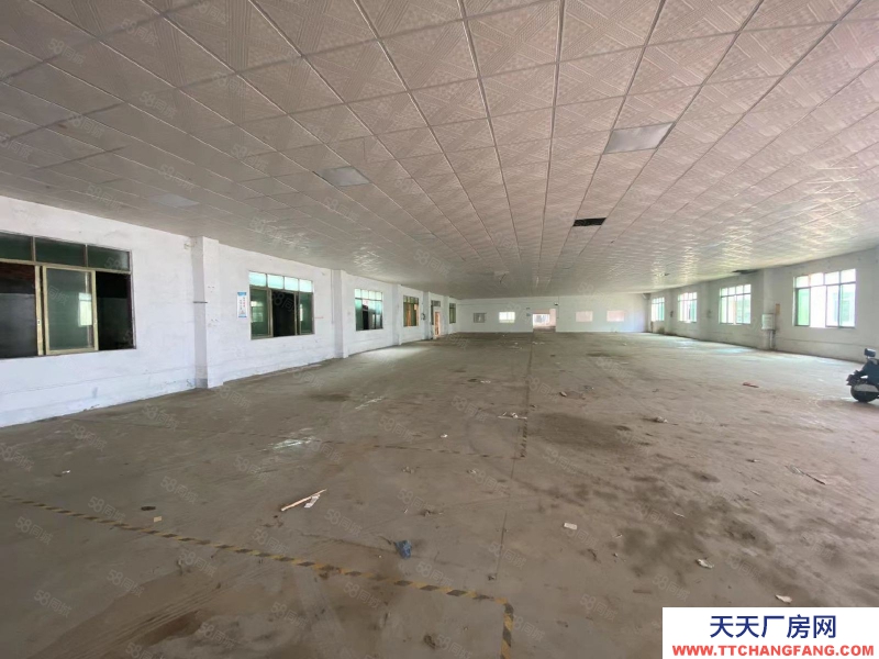 (出租) 清遠(yuǎn)佛岡縣城 獨(dú)院廠房 共4300方 可分租 帶有辦公樓 飯?zhí)?><span id=