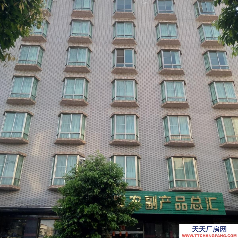 (出租) 清遠連南房屋整棟出租，單層無間隔460方一層