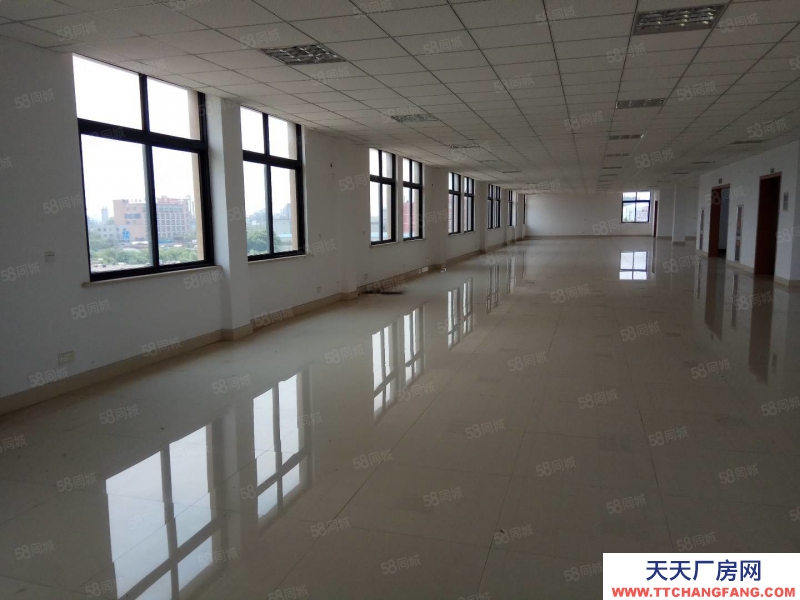 嘉興秀洲(出租) 嘉興王店50000平方雨棚月臺丙二高標倉庫出租價格便宜可分租