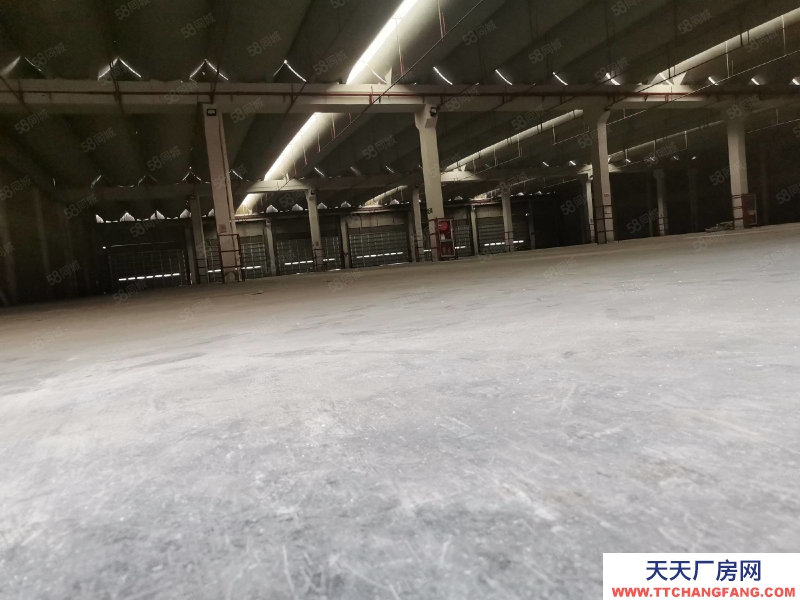 嘉興秀洲(出租) 秀洲物流園區獨棟單層4900平米單層高平臺物流庫出租