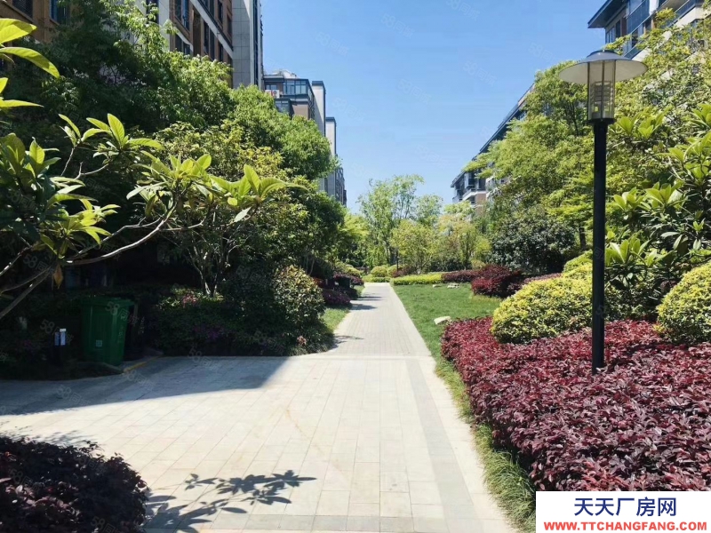 嘉興秀洲(出售) 秀湖邊北科建多層廠房寫字樓1035平精裝帶樓頂400平露臺