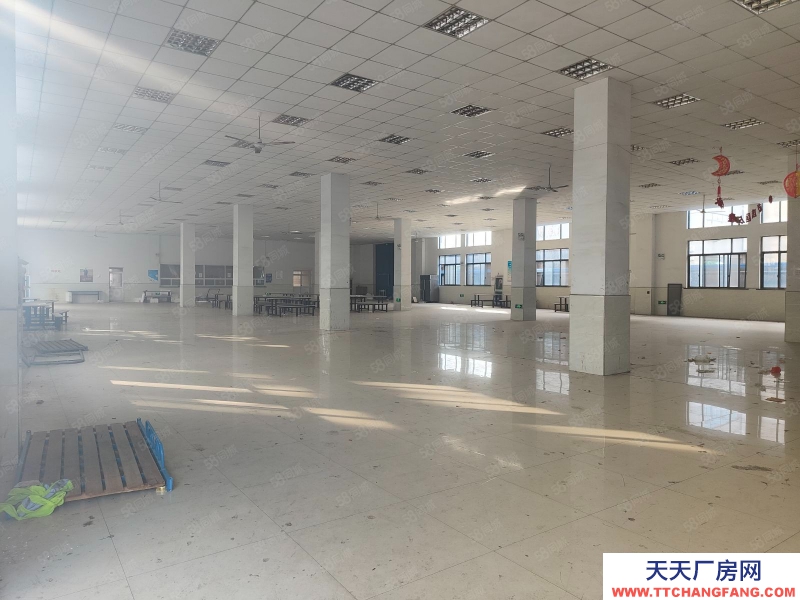 嘉興秀洲(出售) 經開區獨院廠房出售12000萬,看房方便