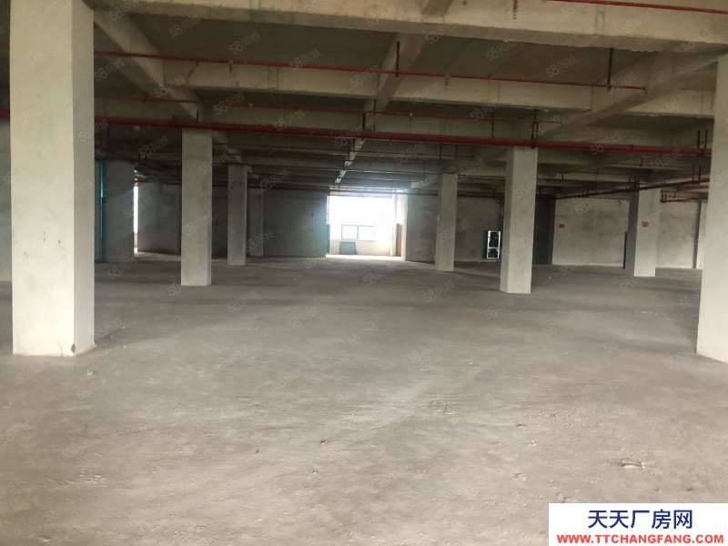 (出售) 柳州城中區(qū)出售廠房1000平米3000平 5000平2700單價(jià)