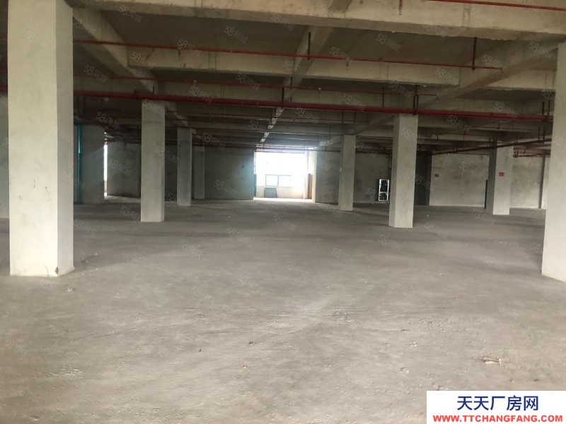 (出售) 柳州魚峰柳石路1500平 3000平廠房出售 適合食品 電子 醫(yī)療