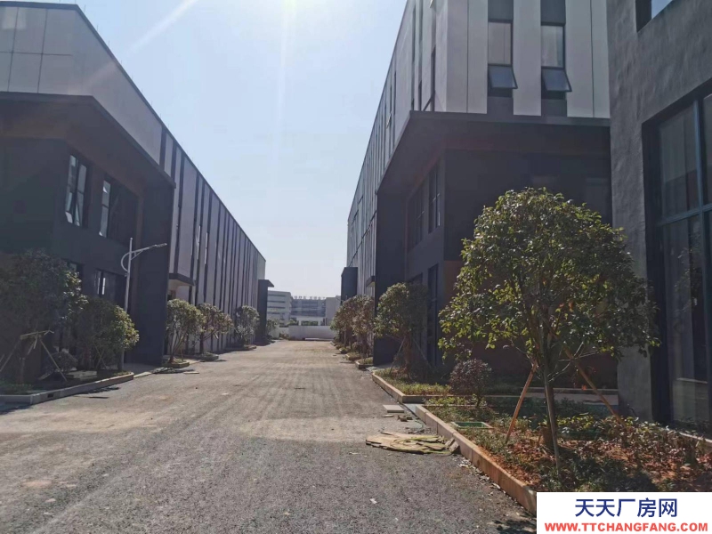 (出售)柳州魚峰洛維工業區網驛大健康產業園600-6000平米廠房