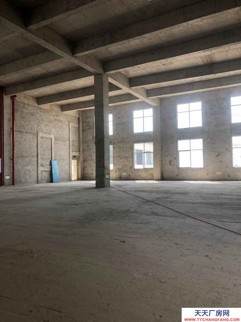 蔡家現(xiàn)房標(biāo)準(zhǔn)廠房/輕軌近公交旁物流園旁/所見即所得/買來即可用