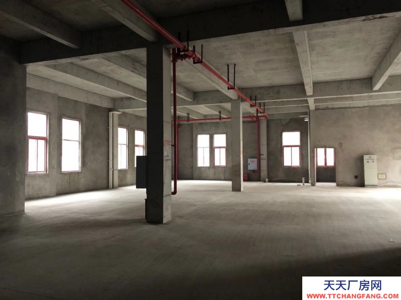 蔡家現(xiàn)房標(biāo)準(zhǔn)廠房/輕軌近公交旁物流園旁/買來(lái)即可用