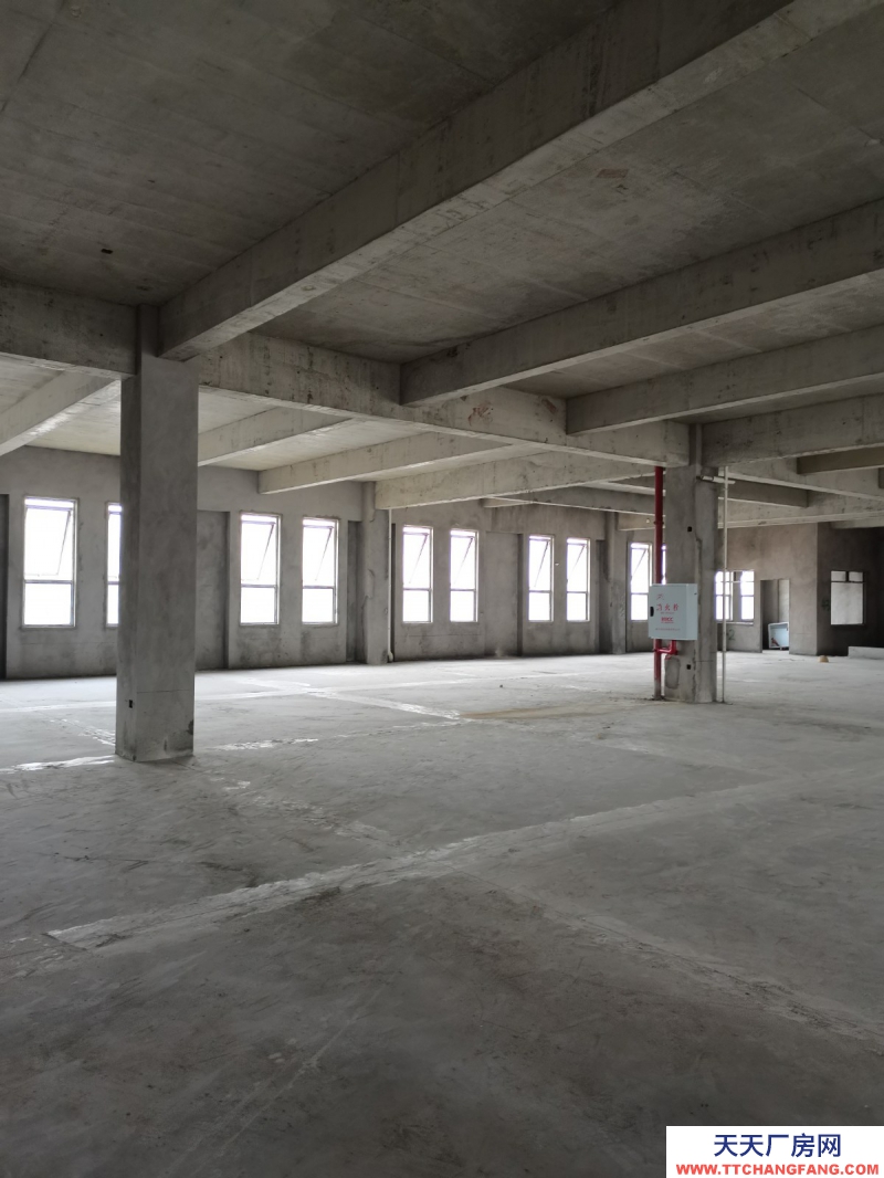 蔡家現房標準廠房/輕軌近公交旁物流園旁/買來即可用