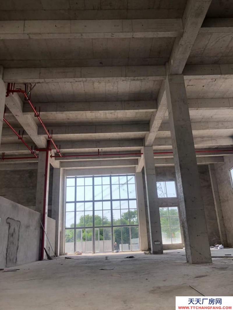 蔡家現房標準廠房/輕軌近公交旁物流園旁/買來即可用