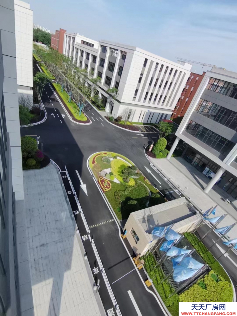 天府新區(qū)視高板塊科技型產(chǎn)業(yè)園,S5號線旁 50年產(chǎn)權(quán)獨棟樓宇