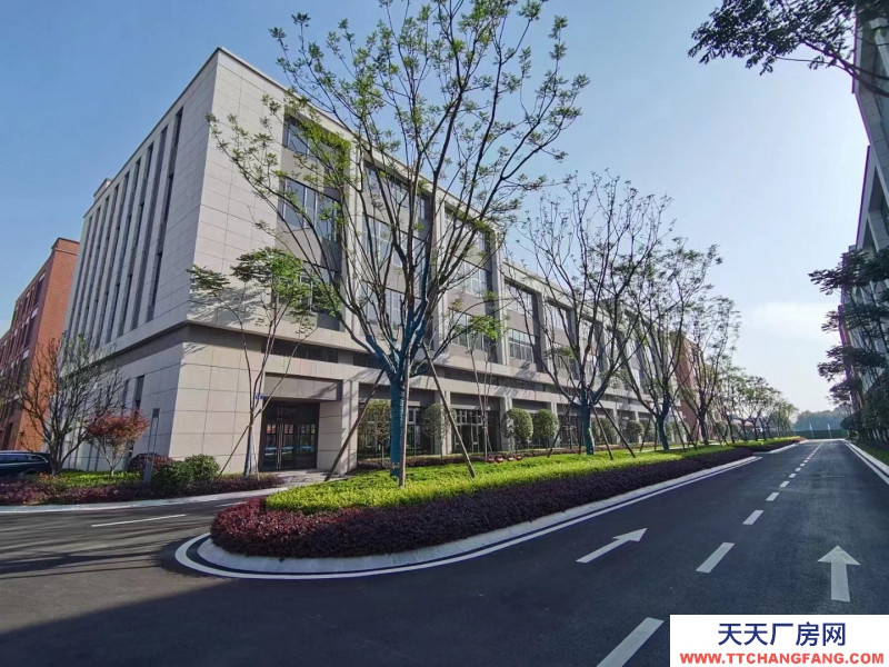 天府新區(qū)視高板塊科技型產(chǎn)業(yè)園,S5號線旁 50年產(chǎn)權(quán)獨棟樓宇