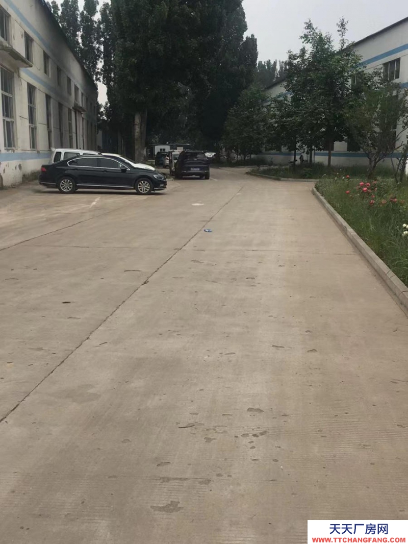 邯鄲 成安縣 出租成安縣東方國際聚良大道