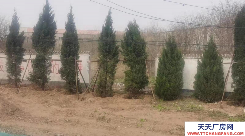 邯鄲 成安縣  出售廠房15畝，有證，可過戶。