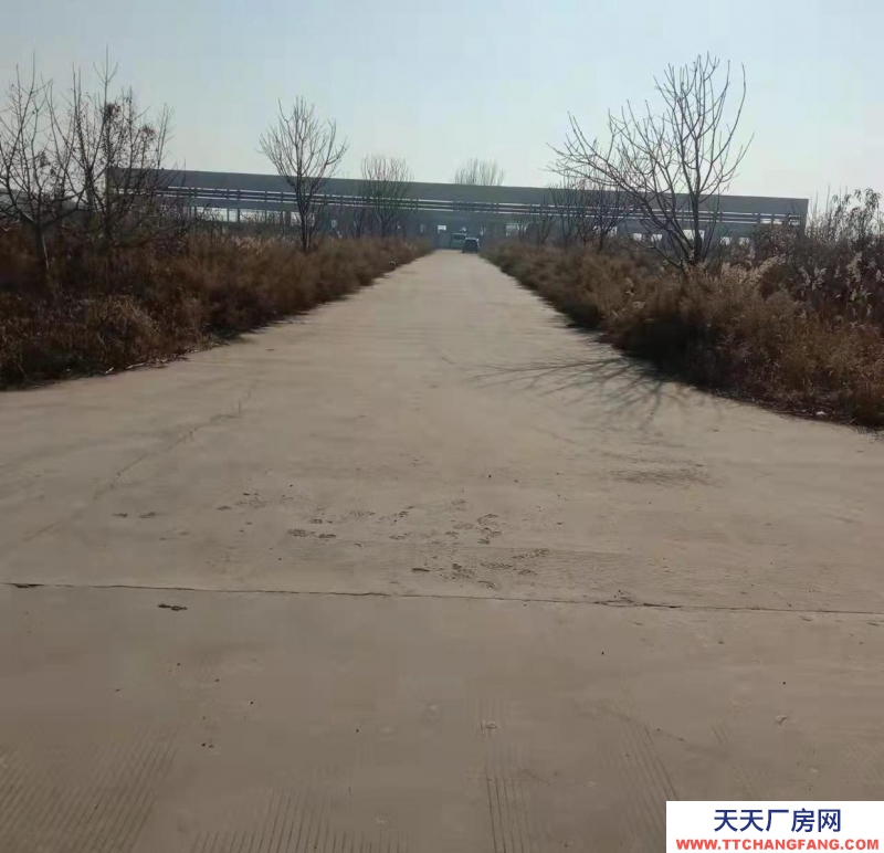 邯鄲 成安縣 北漳西村西頭新建獨院廠房倉庫出租